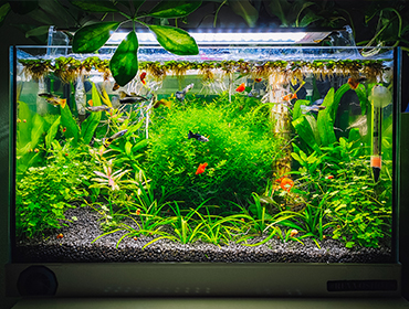 Sustainable Gardening Practices embracing methods blog